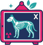 alvets rx